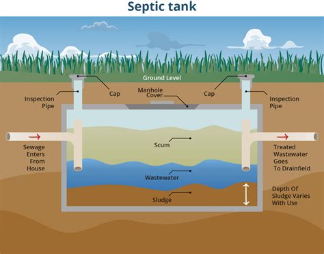 septic tank leaking into yard|What to do if your septic tank is leaking above ground 